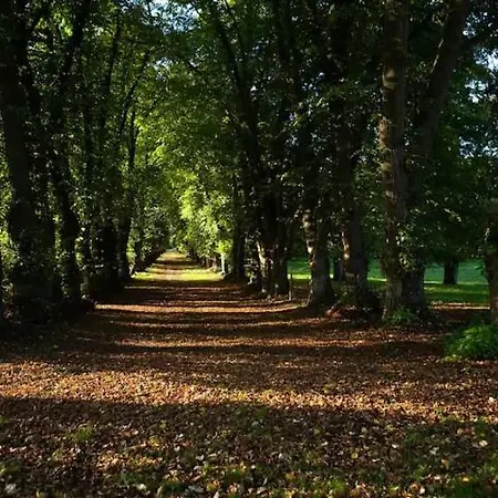 Couette-café Chateau De En Sery Bouillancourt-en-Sery